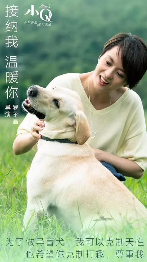 哪里能办物流师证